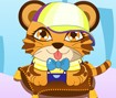 Vestir o Beb� Tigre