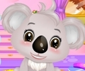 Baby Koala Salon
